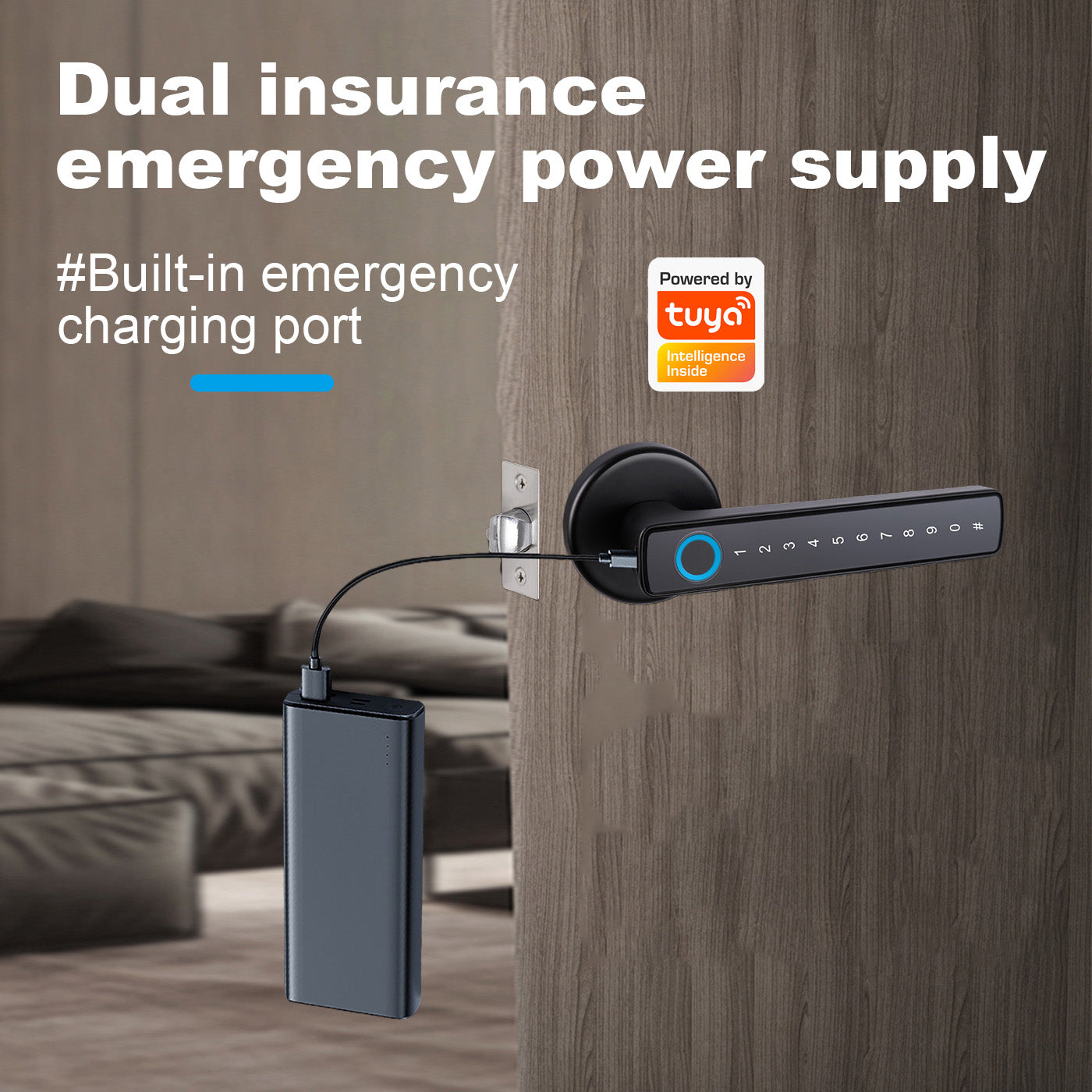 Kunci Pintu Pintar Biometrik Tuya dengan Gagang Sidik Jari Elektronik, Kunci Tanpa Kunci Digital Tipe Terpisah