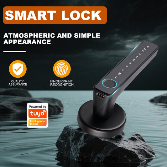 Kunci Pintu Pintar Biometrik Tuya dengan Gagang Sidik Jari Elektronik, Kunci Tanpa Kunci Digital Tipe Terpisah